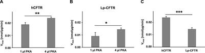 Comparing ATPase activity of ATP-binding cassette subfamily C member 4, lamprey CFTR, and human CFTR using an antimony-phosphomolybdate assay